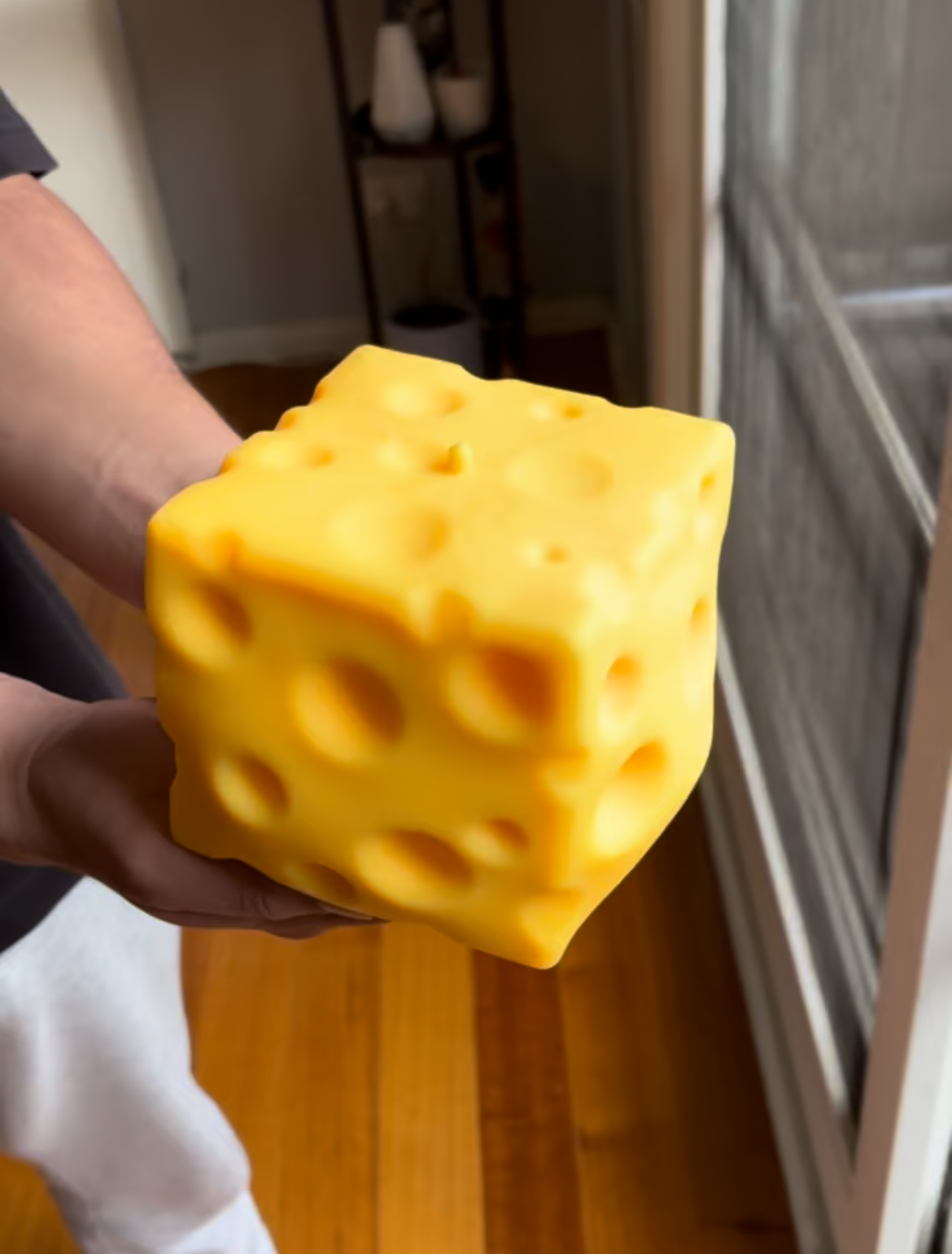 Person holding a yellow Giant cheese squishy in a room with wooden flooring.